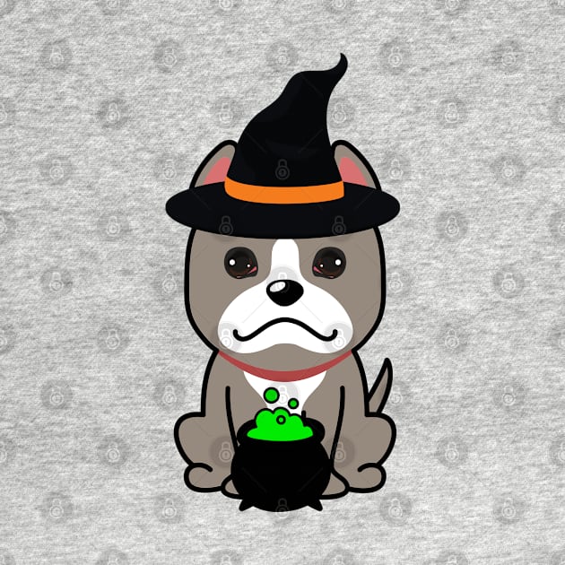 Cute grey dog is a witch by Pet Station